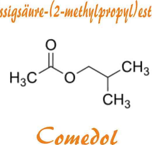 Essigsäure-(2-methylpropyl)ester